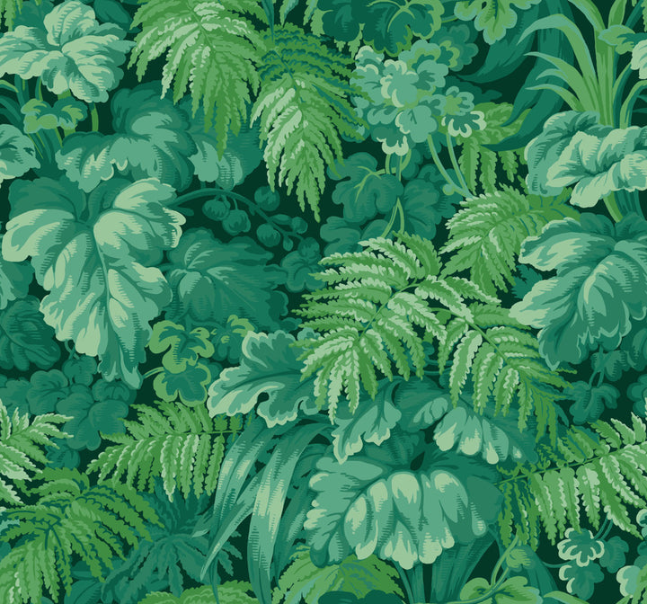 Royal Fernery Forest Green by Cole & Son Wallcovering