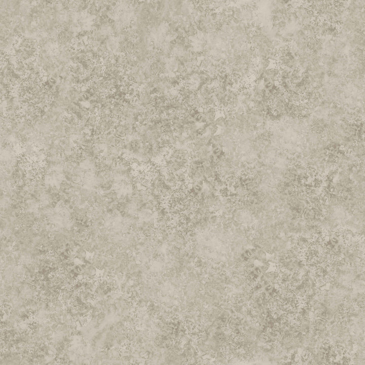 Patina Haze Warm Gilver by Cole & Son Wallcovering