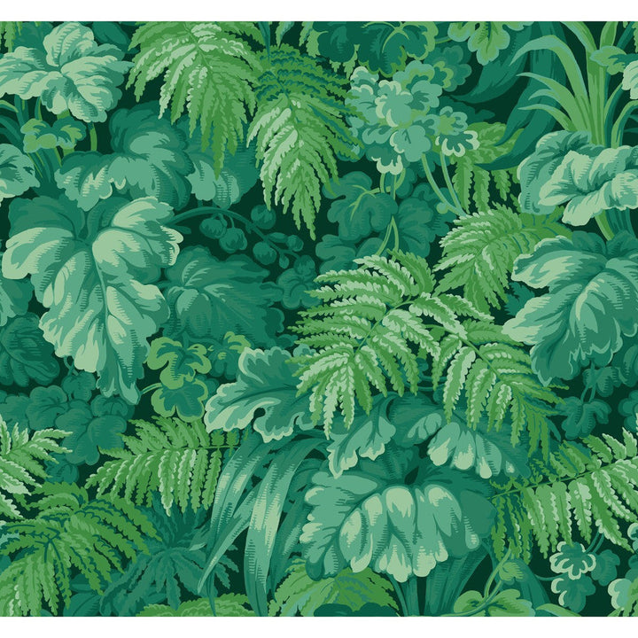 Royal Fernery Forest Green by Cole & Son Wallcovering Cole & Son Wallcovering Royal Fernery Forest GreenWallcovering COLE & SON MARTYN LAWRENCE BULLARD PAPER - 100% United Kingdom </p><p>Repeat: H: , V: 25.2 27 - Fabric Carolina -
