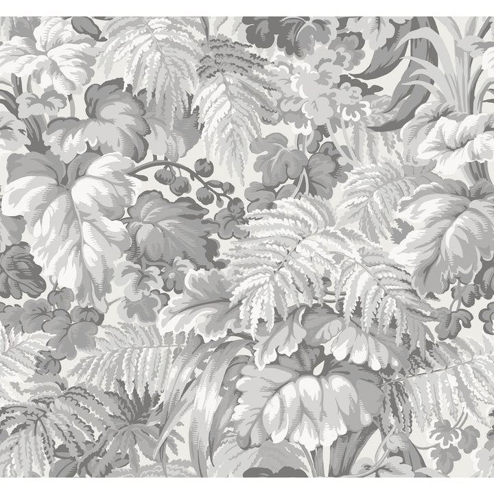 Royal Fernery Warm Grey by Cole & Son Wallcovering COLE & SON MARTYN LAWRENCE BULLARD PAPER - 100% United Kingdom Horizontal: and Vertical: 25.2 27 - Fabric Carolina -