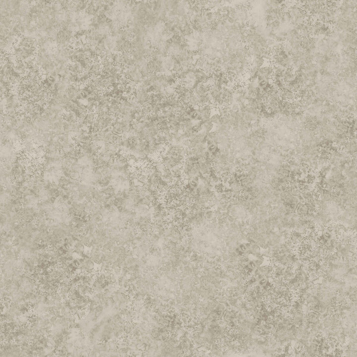 Patina Haze Warm Gilver by Cole & Son Wallcovering COLE & SON MARTYN LAWRENCE BULLARD PAPER - 100% United Kingdom - Horizontal: - and Vertical: 20.5 20.5 - Fabric Carolina -