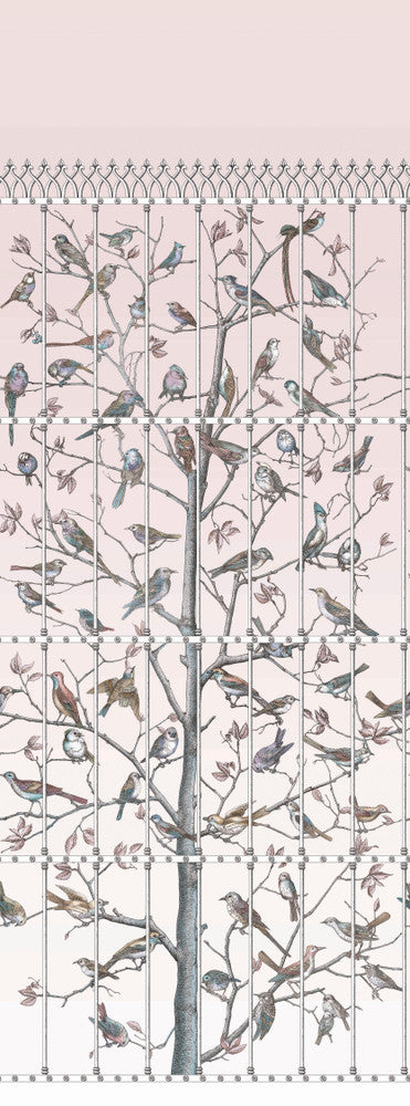 Uccelli Ballet Slipper by Cole & Son Wallcovering