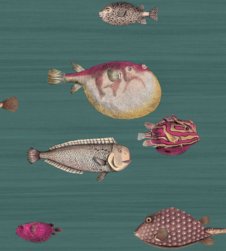 Acquario Viridian by Cole & Son Wallcovering