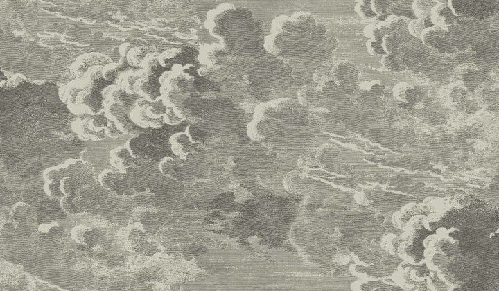 Nuvolette Gilver & Charcoal by Cole & Son Wallcovering