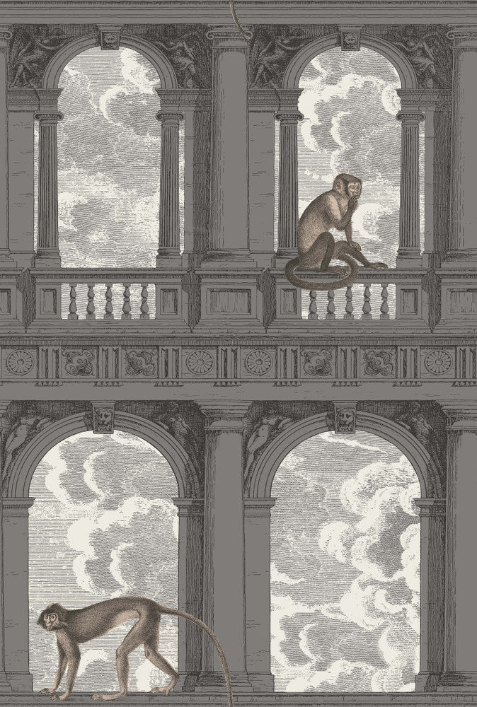 Procuratie Con Vista Soot & Snow by Cole & Son Wallcovering