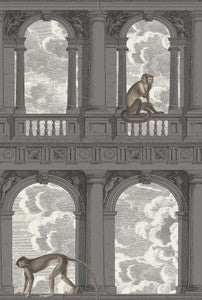 Procuratie Con Vista Soot & Snow by Cole & Son Wallcovering