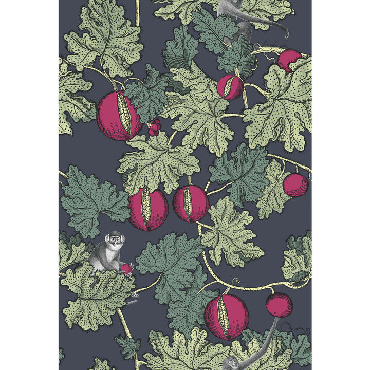 Frutto Proibito Ink & Magenta by Cole & Son Wallcovering COLE & SON FORNASETTI PAPER - 100% United Kingdom - Horizontal: - and Vertical: 30 20.5 - Fabric Carolina -