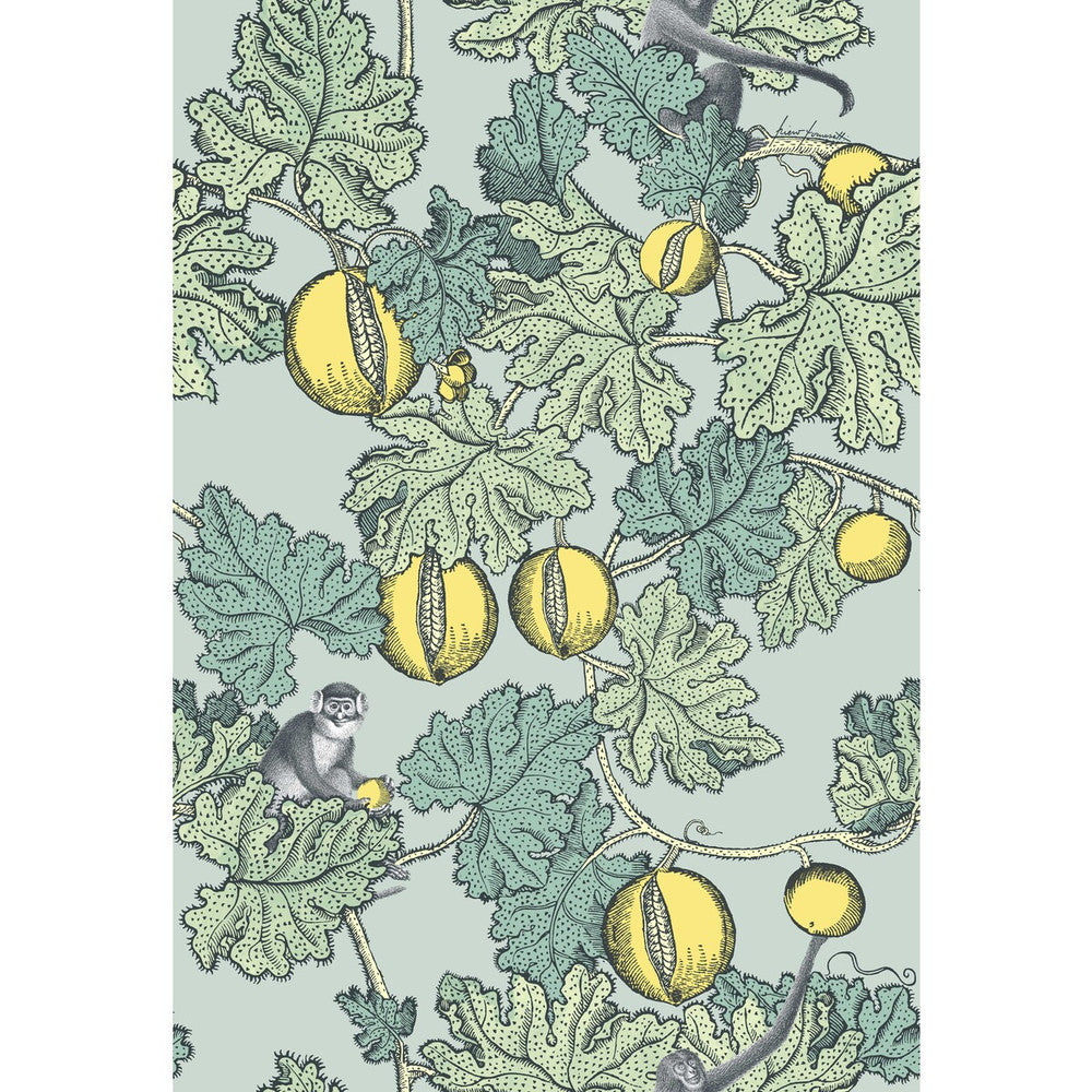 Frutto Proibito Seafoam & Lemon by Cole & Son Wallcovering COLE & SON FORNASETTI PAPER - 100% United Kingdom Horizontal: and Vertical: 30 20.5 - Fabric Carolina -
