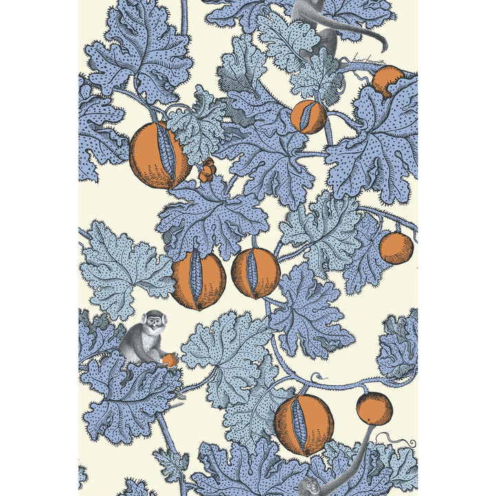 Frutto Proibito Hyacinth & Orange by Cole & Son Wallcovering Cole & Son Wallcovering Frutto Proibito Hyacinth & OrangeWallcovering COLE & SON FORNASETTI PAPER - 100% United Kingdom </p><p>Repeat: H: , V: 30 20.5 - Fabric Carolina -