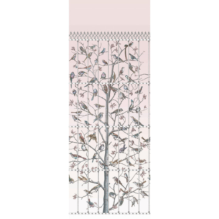 Uccelli Ballet Slipper by Cole & Son Designer Wallcovering COLE & SON FORNASETTI PAPER - 100% United Kingdom Horizontal: 41 and Vertical: 110.2 41 - Swanky Fabrics -