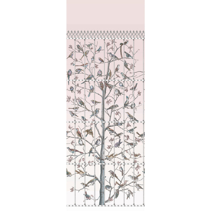 Uccelli Ballet Slipper by Cole & Son Wallcovering COLE & SON FORNASETTI PAPER - 100% United Kingdom Horizontal: 41 and Vertical: 110.2 41 - Fabric Carolina -