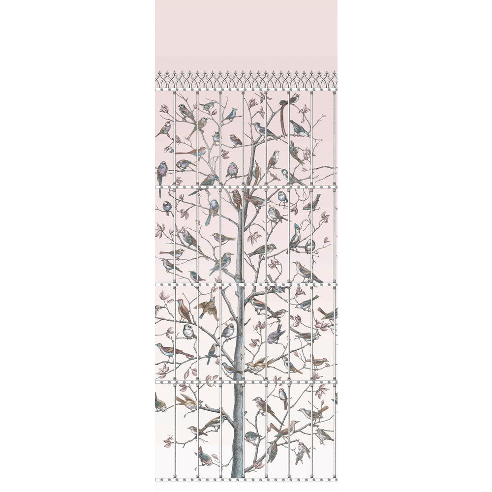 Uccelli Ballet Slipper by Cole & Son Wallcovering COLE & SON FORNASETTI PAPER - 100% United Kingdom Horizontal: 41 and Vertical: 110.2 41 - Fabric Carolina -