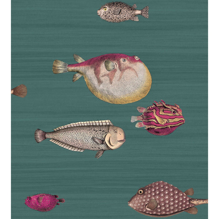 Acquario Viridian by Cole & Son Designer Wallcovering COLE & SON FORNASETTI PAPER - 100% United Kingdom - Horizontal: - and Vertical: 30 27 - Swanky Fabrics -