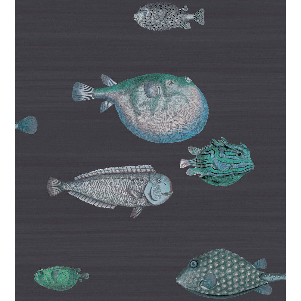 Acquario Ink by Cole & Son Designer Wallcovering COLE & SON FORNASETTI SENZA TEMPO PAPER - 100% United Kingdom Horizontal: 27 and Vertical: 30 27 - Swanky Fabrics -