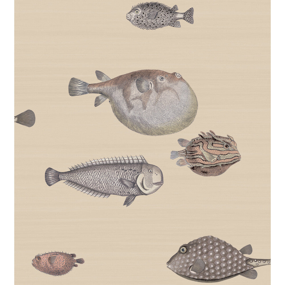 Acquario Taupe by Cole & Son Designer Wallcovering COLE & SON FORNASETTI SENZA TEMPO PAPER - 100% United Kingdom - Horizontal: 27 and Vertical: 30 27 - Swanky Fabrics -