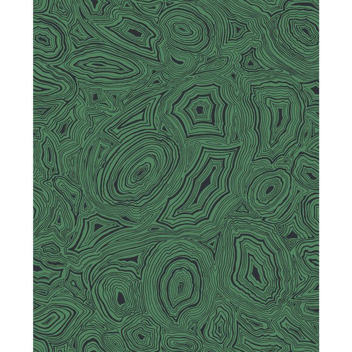 Malachite Emerald/Black by Cole & Son Designer Wallcovering COLE & SON FORNASETTI SENZA TEMPO PAPER - 100% United Kingdom - Horizontal: 20.5 and Vertical: 25.2 20.5 - Swanky Fabrics -