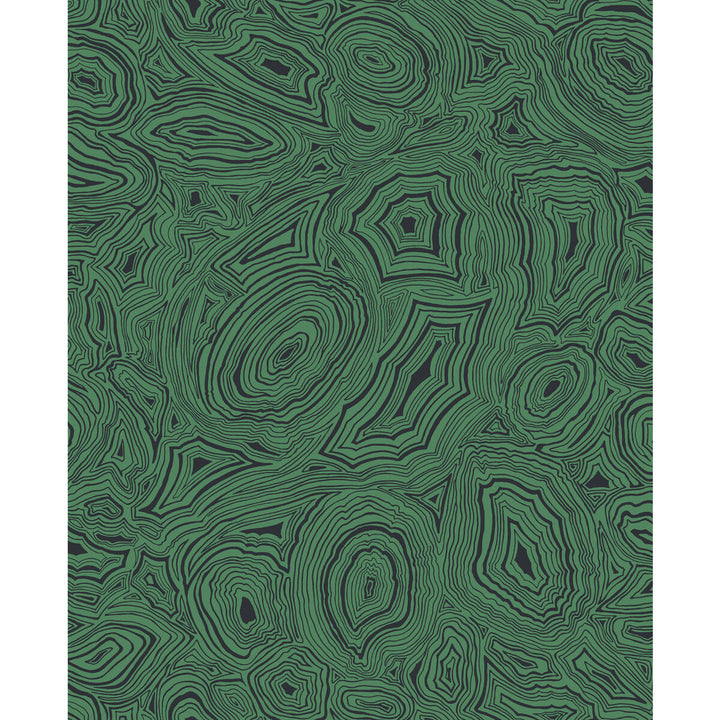 Malachite Emerald/Black by Cole & Son Wallcovering COLE & SON FORNASETTI SENZA TEMPO PAPER - 100% United Kingdom - Horizontal: 20.5 and Vertical: 25.2 20.5 - Fabric Carolina -