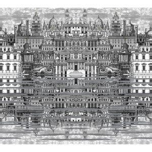 Riflesso Black/White by Cole & Son Wallcovering