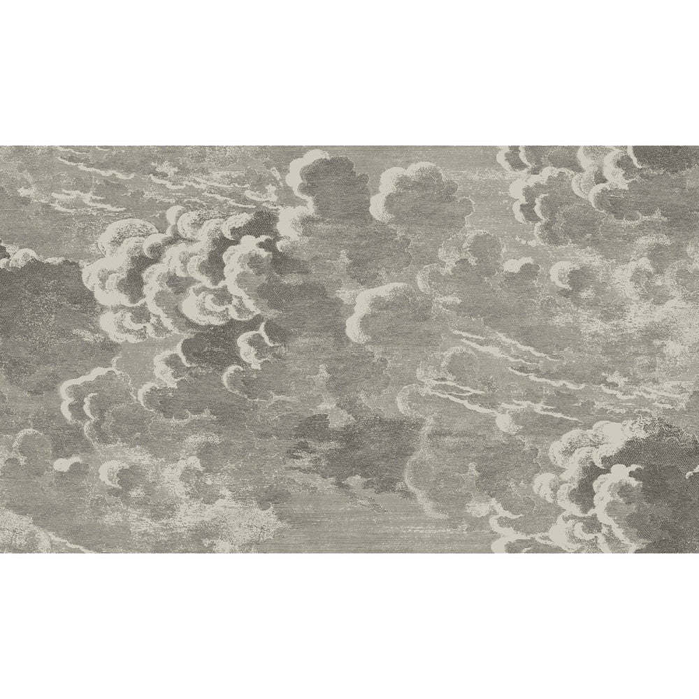 Nuvolette Gilver & Charcoal by Cole & Son Wallcovering COLE & SON FORNASETTI PAPER - 100% United Kingdom - Horizontal: 54 and Vertical: 31.5 54 - Fabric Carolina -