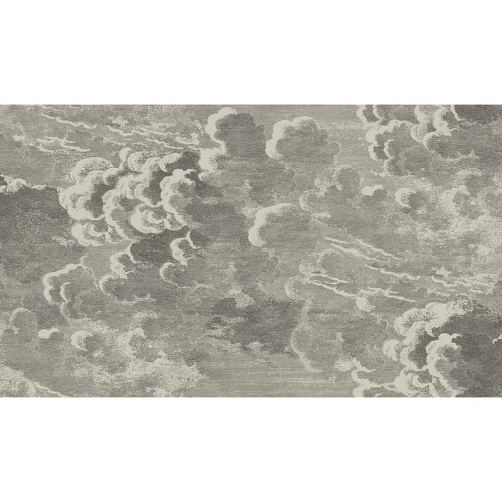 Nuvolette Gilver & Charcoal by Cole & Son Wallcovering COLE & SON FORNASETTI PAPER - 100% United Kingdom - Horizontal: 54 and Vertical: 31.5 54 - Fabric Carolina -