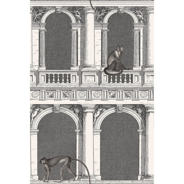 Procuratie E Scimmie B/W by Cole & Son Wallcovering Cole & Son Wallcovering Procuratie E Scimmie B/WWallcovering COLE & SON FORNASETTI SENZA TEMPO PAPER - 100% United Kingdom </p><p>Repeat: H: 27, V: 40.1 27 - Fabric Carolina -