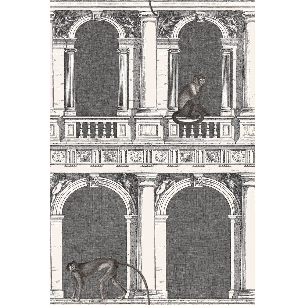 Procuratie E Scimmie B/W by Cole & Son Wallcovering COLE & SON FORNASETTI SENZA TEMPO PAPER - 100% United Kingdom - Horizontal: 27 and Vertical: 40.1 27 - Fabric Carolina -