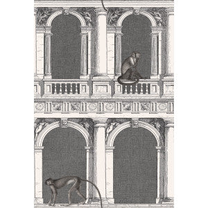 Procuratie E Scimmie B/W by Cole & Son Wallcovering