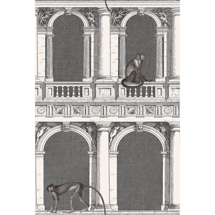 Procuratie E Scimmie B/W by Cole & Son Wallcovering COLE & SON FORNASETTI SENZA TEMPO PAPER - 100% United Kingdom Horizontal: 27 and Vertical: 40.1 27 - Fabric Carolina -