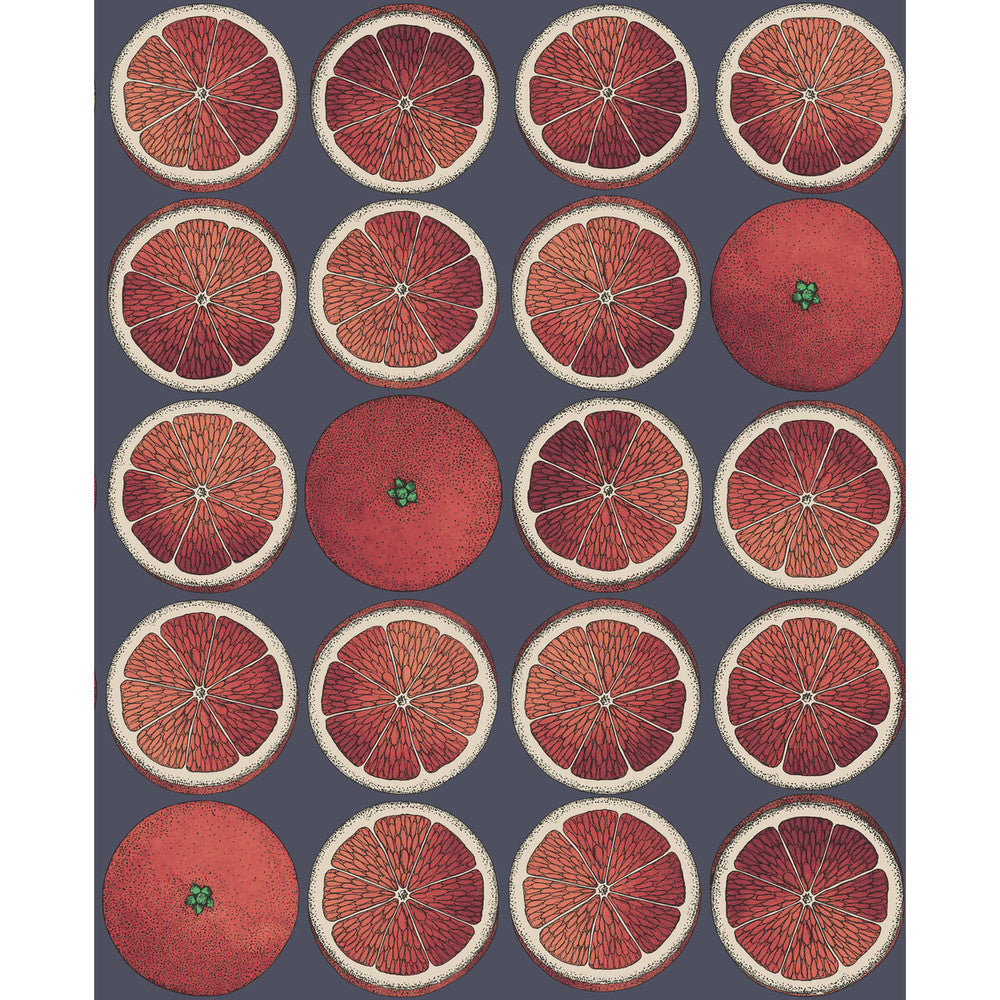 Arance Blood Orange/Ink by Cole & Son Wallcovering COLE & SON FORNASETTI SENZA TEMPO PAPER - 100% United Kingdom - Horizontal: 20.5 and Vertical: 25.2 20.5 - Fabric Carolina -