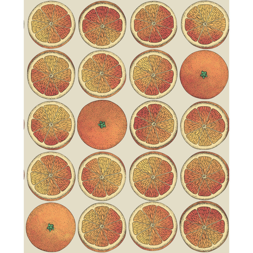 Arance Orange/Cream by Cole & Son Wallcovering Cole & Son Wallcovering Arance Orange/CreamWallcovering COLE & SON FORNASETTI SENZA TEMPO PAPER - 100% United Kingdom </p><p>Repeat: H: 20.5, V: 25.2 20.5 - Fabric Carolina -