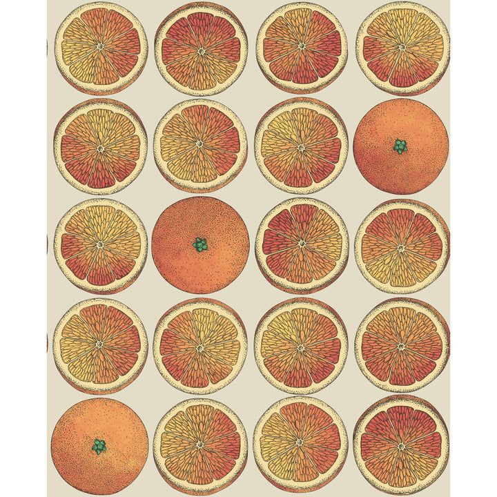 Arance Orange/Cream by Cole & Son Wallcovering COLE & SON FORNASETTI SENZA TEMPO PAPER - 100% United Kingdom - Horizontal: 20.5 and Vertical: 25.2 20.5 - Fabric Carolina -