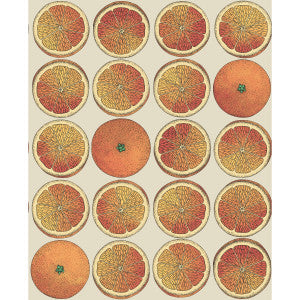 Arance Orange/Cream by Cole & Son Wallcovering