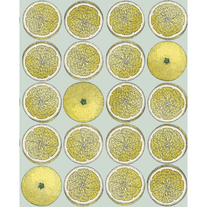 Arance Lemon/Seafoam by Cole & Son Wallcovering COLE & SON FORNASETTI SENZA TEMPO PAPER - 100% United Kingdom Horizontal: 20.5 and Vertical: 25.2 20.5 - Fabric Carolina -