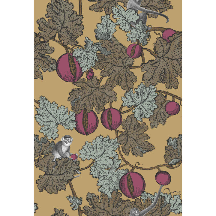 Frutto Proibito Magen/Gld by Cole & Son Wallcovering COLE & SON FORNASETTI SENZA TEMPO PAPER - 100% United Kingdom - Horizontal: - and Vertical: 30 20.5 - Fabric Carolina -