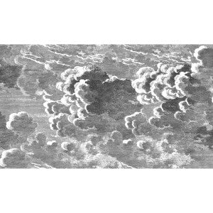 Nuvolette Black/White by Cole & Son Wallcovering