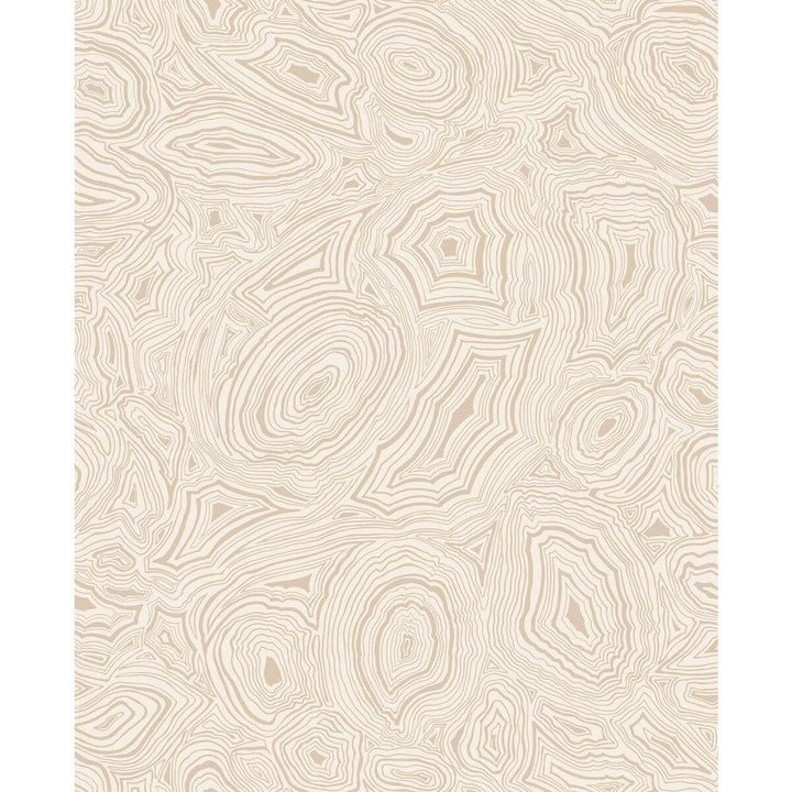 Malachite Parchment & Gold by Cole & Son Wallcovering Cole & Son Wallcovering Malachite Parchment & GoldWallcovering COLE & SON FORNASETTI PAPER - 100% United Kingdom </p><p>Repeat: H: 20.5, V: 25.2 20.5 - Fabric Carolina -