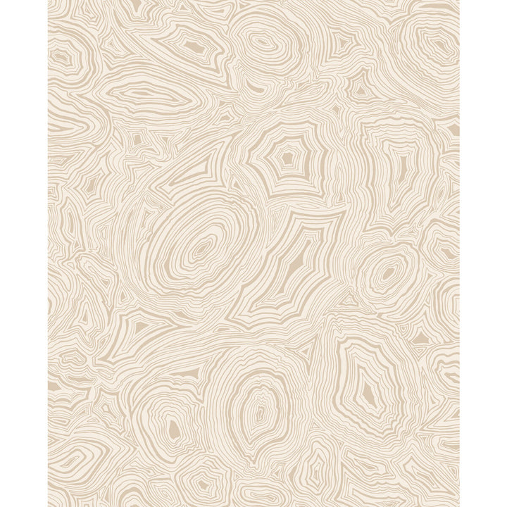Malachite Parchment & Gold by Cole & Son Wallcovering COLE & SON FORNASETTI PAPER - 100% United Kingdom - Horizontal: 20.5 and Vertical: 25.2 20.5 - Fabric Carolina -