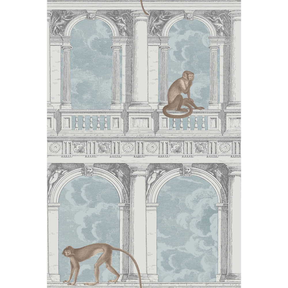 Procuratie Con Vista Stone & Powder Blue by Cole & Son Wallcovering COLE & SON FORNASETTI PAPER - 100% United Kingdom Horizontal: and Vertical: 40 27 - Fabric Carolina -