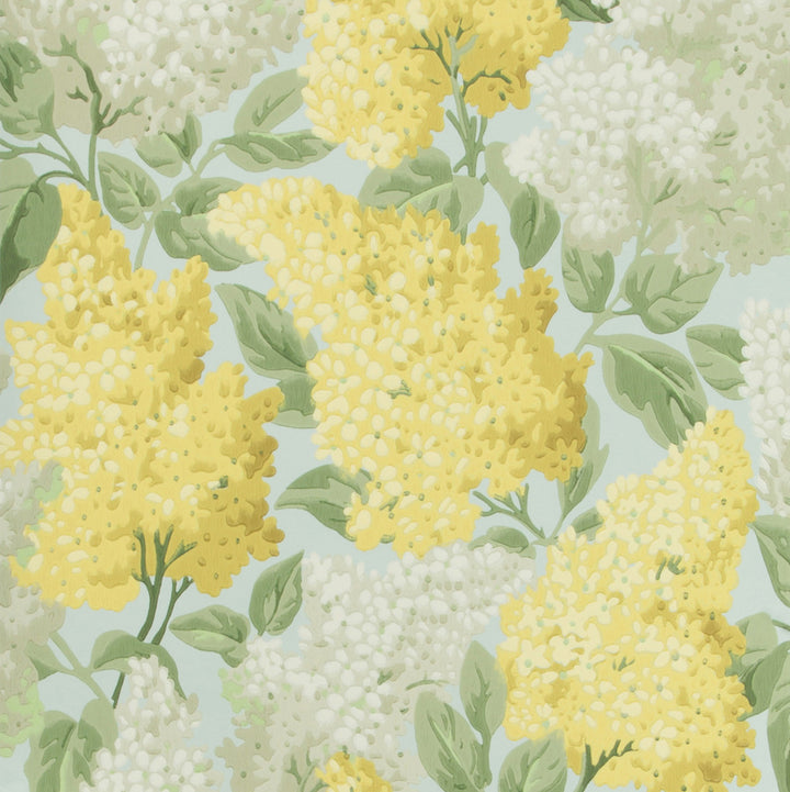 Lilac Lemon/Olive/Prm Blue by Cole & Son Wallcovering