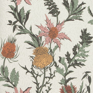 Thistle A Pink/Orange/Parch by Cole & Son Wallcovering