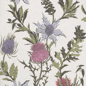 Thistle Lilac/Cerise/White by Cole & Son Wallcovering