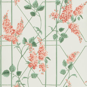 Woodland Coral/Olive/Char by Cole & Son Wallcovering