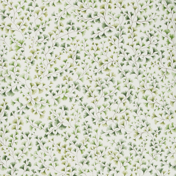 Maidenhair Olive by Cole & Son Wallcovering