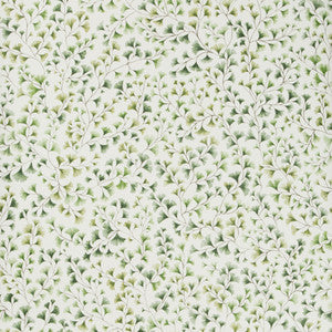 Maidenhair Olive by Cole & Son Wallcovering