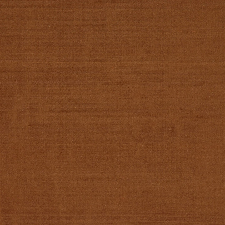 Perception Maple by RM CoCo Fabric Perception II 100% SILK Horizontal: 0 and Vertical: 0 54 - Fabric Carolina -