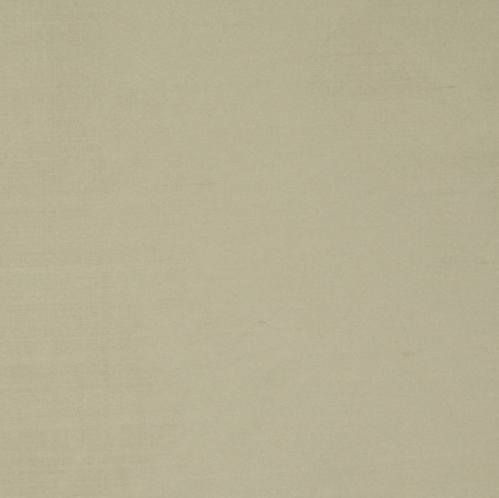 Perception Mint by RM CoCo Fabric Perception II 100% SILK Horizontal: 0 and Vertical: 0 54 - Fabric Carolina -