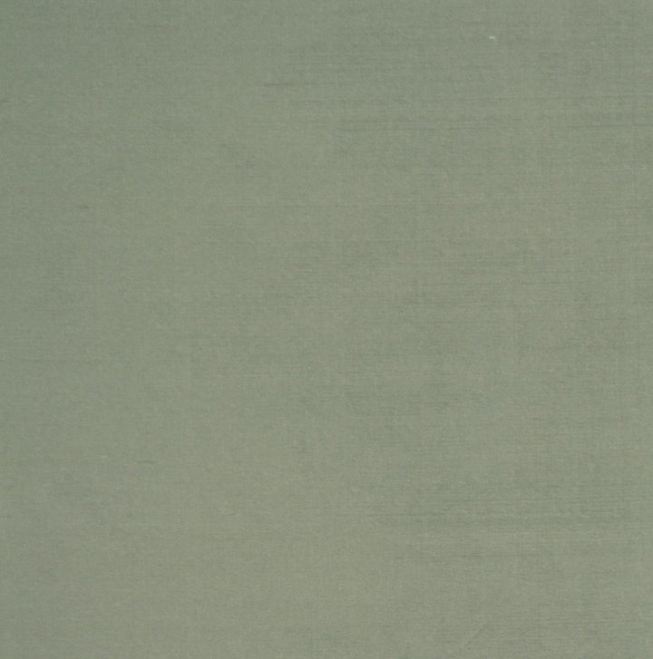 Perception Aqua by RM CoCo Fabric Perception II 100% SILK Horizontal: 0 and Vertical: 0 54 - Fabric Carolina -