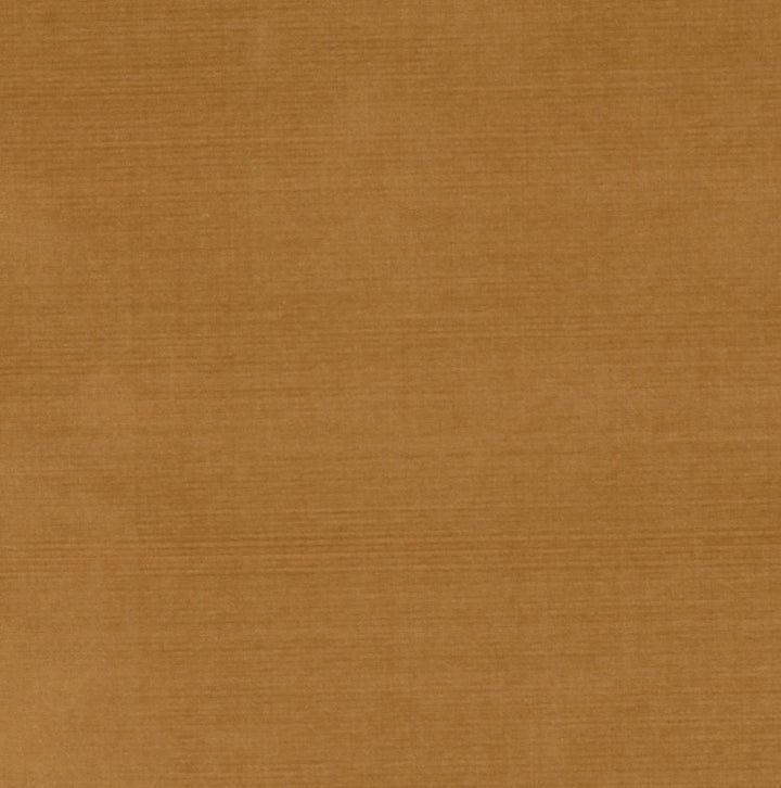 PERCEPTION Honey by RM CoCo Fabric
