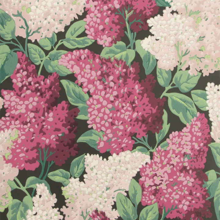 Lilac Magenta/Blush/Charco by Cole & Son Wallcovering COLE & SON BOTANICAL BOTANICA PAPER - 100% United Kingdom Horizontal: 20.5 and Vertical: 25.2 20.5 - Fabric Carolina -