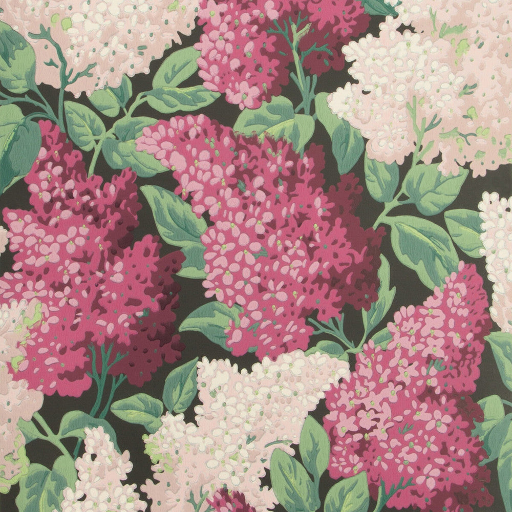 Lilac Magenta/Blush/Charco by Cole & Son Wallcovering COLE & SON BOTANICAL BOTANICA PAPER - 100% United Kingdom Horizontal: 20.5 and Vertical: 25.2 20.5 - Fabric Carolina -